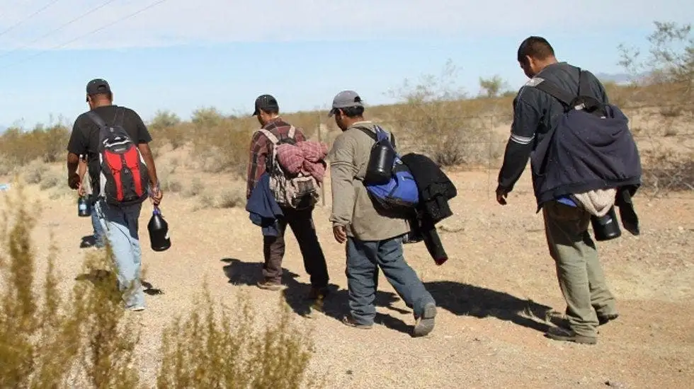 the t visa is a type of immigration humanitarian relieve that allows those who survived trafficking, as well as their families, to stay in and work temporarily in the united states, coyotaje