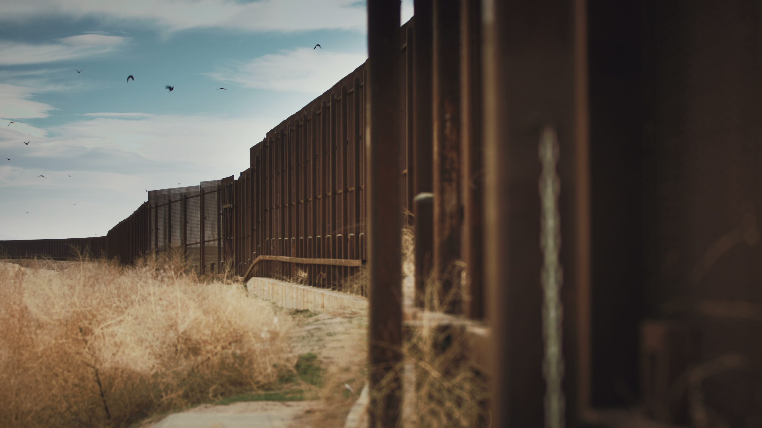 former president donald trump, now president-elect, has announced his intention to implement a mass deportation operation once he takes office again on january, 4k uhd cinematic dolly of mexico border wall sbi scaled